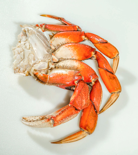 What is a Good Price for Dungeness Crab Legs?