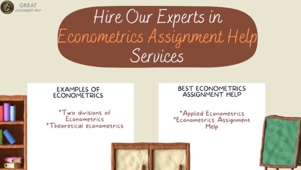 Get Your Econometrics Assignment Help Before The Deadline Through Our Experts