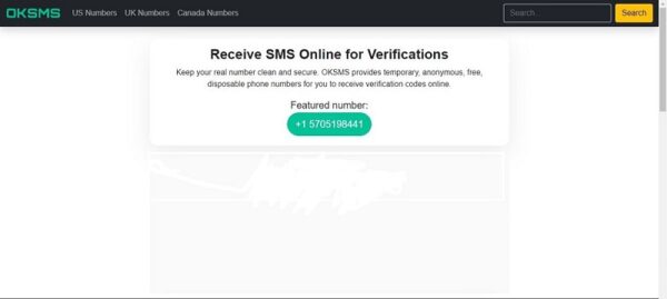 OKSMS is an online way to verify numbers: Features, alternatives, pros & cons