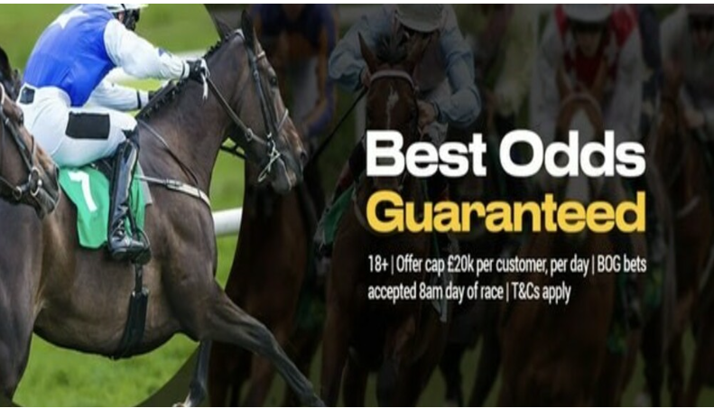 Best horse betting sites