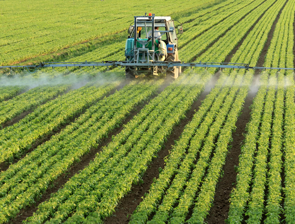 Best Practices for Effective and Efficient Pesticide Application