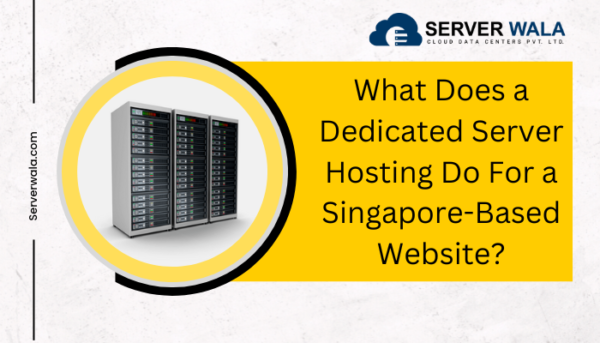 What Does a Dedicated Server Hosting Do For a Singapore-Based Website?