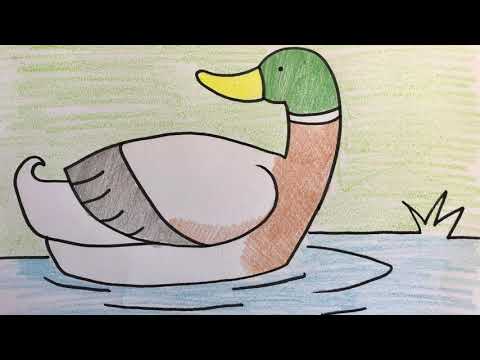 Best Duck Drawing For Kids | Duck Drawing For Kids Tutorial