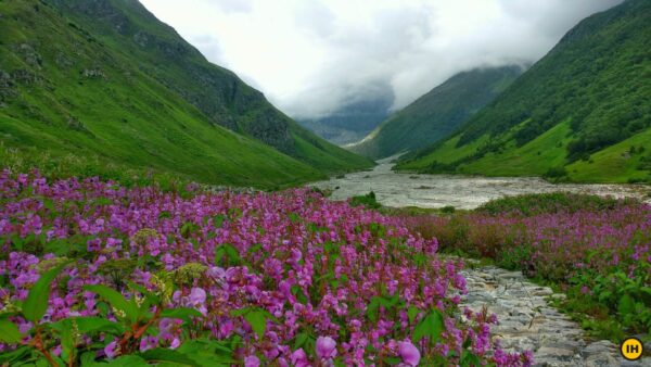 Valley of Flowers Trek – Best Monsoon Trek in  India