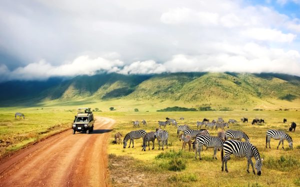 Discover the Beauty of Tanzania: A Journey Through Its Wildlife, Culture, and Landscapes