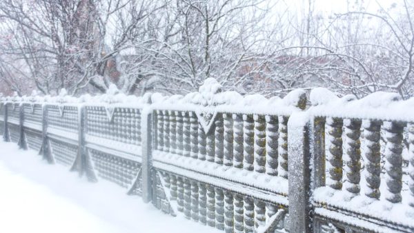 Fence Maintenance Tips for Calgary’s Harsh Weather Conditions
